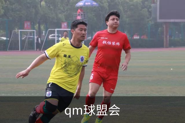 qm球盟会公司简介展示图